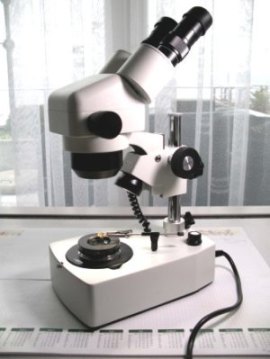 Zoom-Mikroskop
